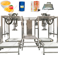 Automatische Mangosap Verwerkingslijn Sap Machine Mangopulp En Puree Vruchtensap Maken Productielijn