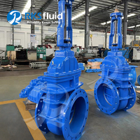 BS5163 DN250 150mm 300mm personnalisé PN16 fonte ductile à bride OS & Y vanne prix compétitif