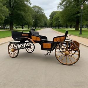 Kereta wisata elektrik <span class=keywords><strong>2</strong></span> baris mewah/harga rendah kereta dorong listrik tanpa kuda pemandangan gharry - Product Image 1