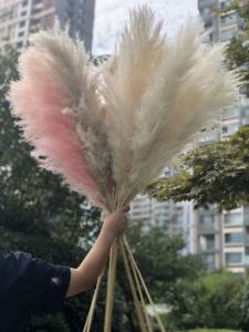 EG-A145 पम्पस पौधे सूखे फूल घर इनडोर सजावट कृत्रिम पौधे विवाह की सजावट - Product Image 6