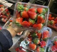 Petit déjeuner dessin animé fruits et légumes Mantou cuit à la vapeur chignon boîte d'emballage boîte en plastique transparente boîte à tarte aux oeufs