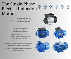 Yl 시리즈 750w <span class=keywords><strong>1</strong></span>.<span class=keywords><strong>1kw</strong></span> <span class=keywords><strong>1</strong></span>.5kw 2.2kw 3kw 4kw 7.5kw 1hp <span class=keywords><strong>1</strong></span>.5hp 2hp 3hp 4hp 5.5hp 10hp 단상 교류 전동기 - Product Image 4