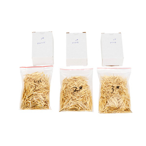 Pernos Dentales Dorados con Brida, 250 Piezas, para Uso Ortodóntico, Cuidado Bucal para Adultos - Product Image 1