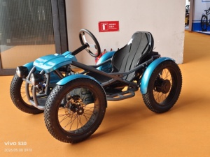 Quadricycle électrique tout-terrain à pneus larges avec moteur double 2000W et batterie lithium 30Ah - Product Image 5