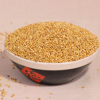 Graines de millet jaune d'origine chinoise, ingrédient d'alimentation pour volailles riche en protéines