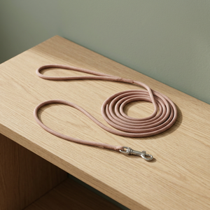 Laisse simple et robuste en nylon tissé plat, écologique, pour chiens de petite et moyenne taille, pour la promenade et les expositions TW - Product Image 3