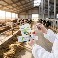 Kit de test rapide PAG bovin direct usine, bandelette de test de gestation précoce pour vaches, haute précision, diagnostic vétérinaire de la gestation animale