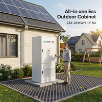 Système de stockage d'énergie solaire industriel et commercial 233KWh 241KWh 261KWh, onduleur solaire 125kW tout-en-un, armoire extérieure
