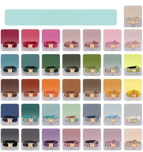 맞춤형 고급 부드러운 벨벳 강아지 목줄 (튼튼한 금속 버클, 레이저 각인 ID 로고, 조절 가능, 친환경) - Product Image 2