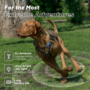 Kalung Anjing Pintar GPS: Penentuan Posisi Real-Time, Peringatan Geofence, Lampu LED, Peringatan Suara, Monitor Kesehatan, Diagnosis AI, Tahan Air - Product Image 2