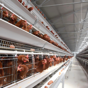 Nouvelle cage à poulets de type A à 4 niveaux à faible coût, galvanisée à chaud, matériau Q 235, longue durée de vie, élevage de volailles - Product Image 1