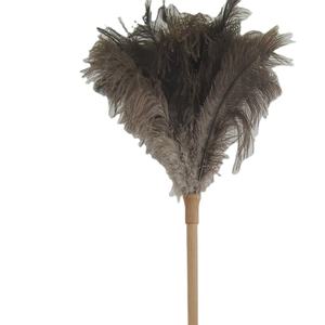 Plumero de Plumas de Avestruz Grandes con Mango Largo de Madera Reutilizable y Ecológico de 46 Pulgadas para Limpieza - Product Image 1