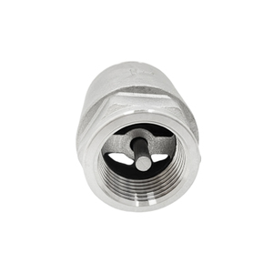 Válvula de Retención de 2 Vías NPT, Tipo Resorte SUS304 para Uso en Bombas, Sistema de Agua, PN16, Sellado de PTFE - Product Image 3