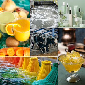 אבקת אנזימי עיכול טהורים בעלי פעילות גבוהה, באיכות מזון, לתוספי מזון, משלוח מהיר - Product Image 3