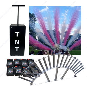 Événement Louer Fx Personnaliser Confettis Poudre <span class=keywords><strong>Canon</strong></span> Articles De Fête Nouveau Design Popper Feux D'artifice De Mariage Tnt Fumée Bombe Sexe Révéler - Product Image 4