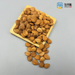 Bitter <span class=keywords><strong>Apricot</strong></span> Hạt Khô Nuts Chất lượng cao tốt hương vị giá thấp bán buôn - Product Image 2