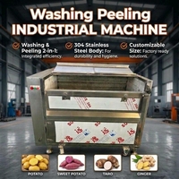 Machine industrielle de lavage et de pelage à rouleaux pour pommes de terre, gingembre, manioc, taro et légumes racineux, destinée aux usines de transformation alimentaire
