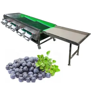 Fruit Sorting Machine Cherry Tomato Grading Machine Small Size Fruit Blueberries Sorting Machine All in One