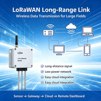 Capteur d'humidité et de température du sol LoRaWAN avec sonde SUS304, autonomie de 3 ans pour l'irrigation agricole intelligente
