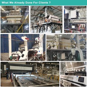 PP PE PVC PET ABS Waste Plastic Recycling Granules Flake Materials Infrared Nir Color Sorter Machine Color Sorting Machine - Product Image 5