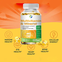 Ausreson OEM Gélules Molles Multivitaminées et Minérales Vitamines A, C, B3, B5, B6, B12, Calcium, Fer, Zinc – Gélules Végétaliennes Multivitaminées et Minérales