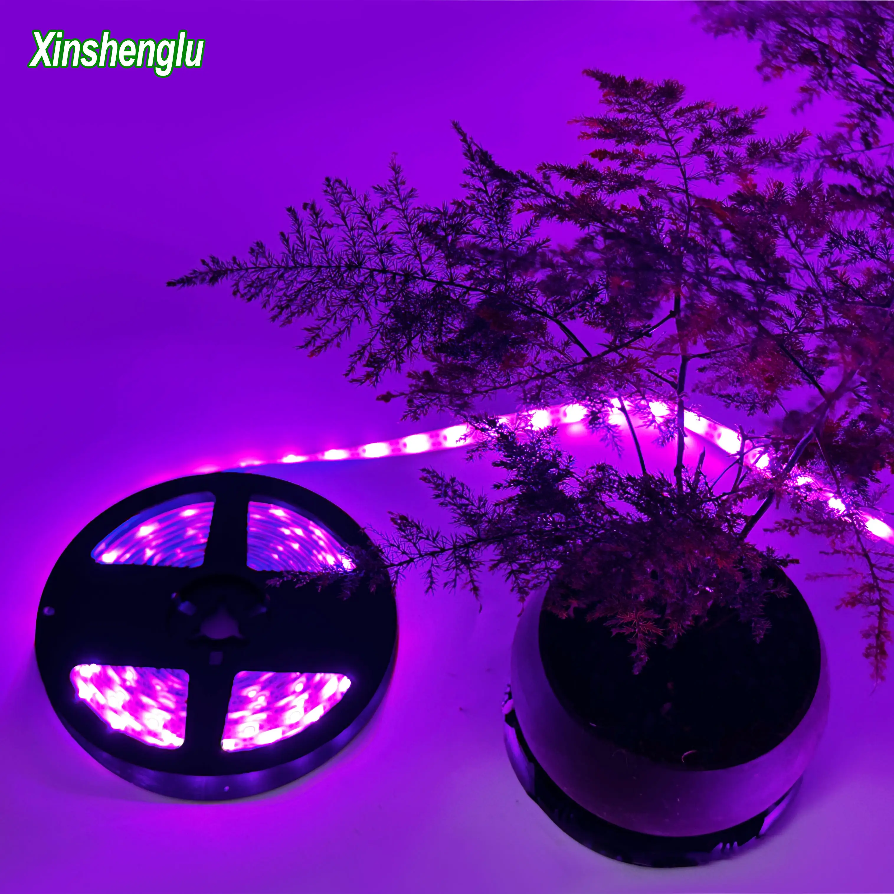 5V 4W 5 metre/rulo sera IP 20 SMD2835 LED şerit bitki büyüme için ışık ultraviyole radyasyon büyümek