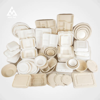 Contenants alimentaires jetables compostables en bagasse de canne à sucre, boîtes à lunch à clapet