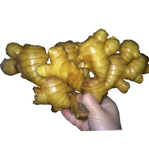 Nova Colheita Fresca Gengibre China Fornecedor Pacote Personalizado Alta Qualidade - Product Image 3