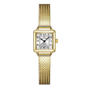 Bee Sister FA-1772 Nouvelle montre tendance Xiyin, vente directe du fabricant, commerce extérieur, niche rétro, bracelet petit marron, montre pour femme - Product Image 5