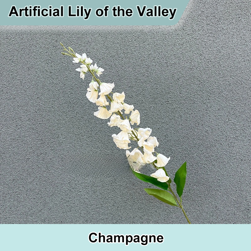 Champagne