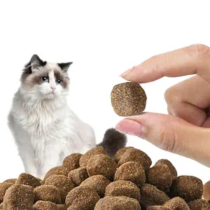 Explosive Models All Life Stage Dry Food for Cats Aafco Requirements Compliant
