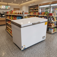 Congélateur coffre compact et peu encombrant, blanc, pour appartement, chambre d'hôtes et bureau d'hôtel