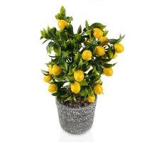 Plante bonsaï décoration de balcon intérieur Faux petit arbre à fruits arbre à citron artificiel