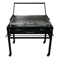 Barbecue au charbon de bois pliable multifonctionnel portable pour barbecue en plein air et rôtissage de poisson