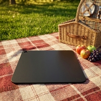 Plaque de cuisson en acier multi-usages pour fours et grils, plaque à pizza en acier