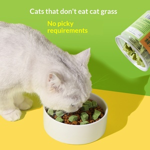 Snack per Gatti Biologici Senza Cereali, Essiccati a Freddo, per Pulizia Orale e Rimozione Delicata dei Noduli di Pelo, in Confezione Lattina, Vendita all'Ingrosso - Product Image 5