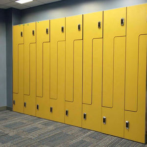 FMH Flat Pack HPL Fenólico Compacto Laminado Locker Gimnasio Madera Locker - Product Image 4