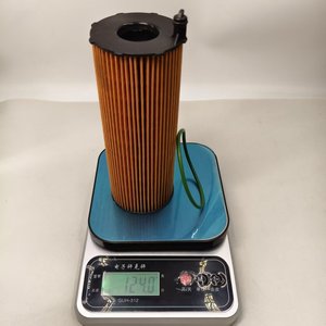 057115561M Penjualan Langsung oleh Produsen Filter Oli Berkualitas Tinggi untuk Mobil Audi OEM LR002338 057 115 561 L - Product Image 5