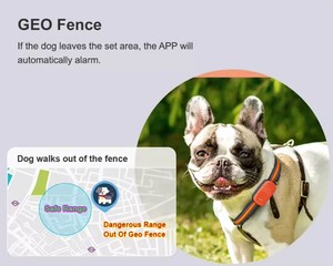 Rastreador GPS 4G Wifi para Mascotas, Resistente al Agua, Compatible con IOS y Android, Rastreo en Tiempo Real, Dispositivo de Rastreo GPS, Navegador GPS - Product Image 2