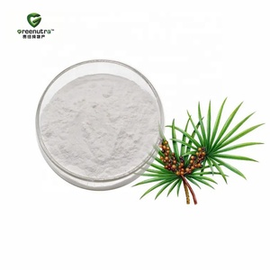 Estratto di Saw Palmetto (Serenoa Repens) 25% Acidi Grassi, Polvere Vegetale Naturale per Integratori Alimentari in Capsule - Product Image 2