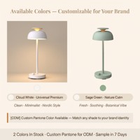 Machine à sons apaisants avec veilleuse RGB, 10 sons relaxants, lampe principale à intensité variable, rechargeable Type-C, marque privée d'usine avec 16 ans d'expérience