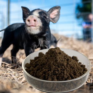 Venta <span class=keywords><strong>de</strong></span> Fábrica: Mezcla Herbal Natural para Mejorar el Crecimiento <span class=keywords><strong>de</strong></span> Cerdos, Promueve el Rendimiento <span class=keywords><strong>de</strong></span> Carne Magra y la Conversión <span class=keywords><strong>de</strong></span> Alimentos - Product Image 2