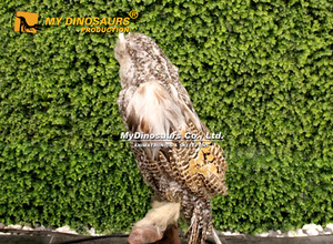 Modello di Gufo Animatronico Realistico a Grandezza Naturale per Esposizioni Zoo - My Dino - Product Image 4
