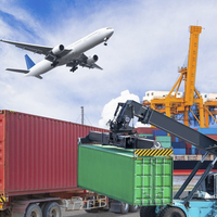 Agent de dropshipping fiable Chine DDP vers le Mexique et les Émirats arabes unis Expédition maritime LCL+Express avec assurance COSCO Livraison porte-à-porte