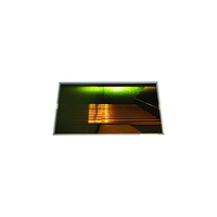 Microcomputadora Profesional LTN156AT10-501
