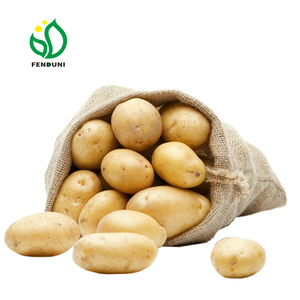 Pommes <span class=keywords><strong>de</strong></span> <span class=keywords><strong>terre</strong></span> fraîches <span class=keywords><strong>de</strong></span> qualité d'exportation en provenance <span class=keywords><strong>de</strong></span> Chine, grade A, <span class=keywords><strong>25</strong></span> <span class=keywords><strong>kg</strong></span>/SAC, culture COMMUNE, <span class=keywords><strong>prix</strong></span> avantageux, provenance chinoise - Product Image 2