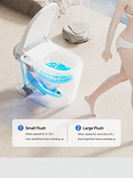 Toilette intelligente de luxe en gros OEM/ODM avec télécommande, chauffage instantané, bidet électrique intelligent pour salle de bain haut de gamme de complexe hôtelier