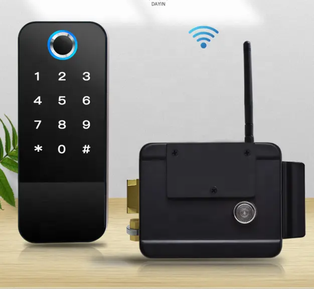 Водонепроницаемый Wi-Fi биометрический отпечаток пальца с tt-замком app tuya сенсорная ручка с кодом умный дверной замок