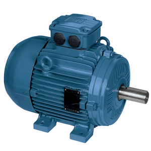 มอเตอร์ WEG W21 0.12-330kW สำหรับอุตสาหกรรม ป้องกันการระเบิด ประสิทธิภาพ IE4 โครงอะลูมิเนียม/เหล็ก  สามเฟส แรงดันต่ำ มอเตอร์ W21 กำลังสูง - Product Image 4