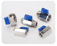 Mini robinet à tournant sphérique en acier inoxydable SS304 NPT et BSPT extrémité filetée femelle arrêt manuel pour robinet à tournant sphérique de sécurité de l'eau